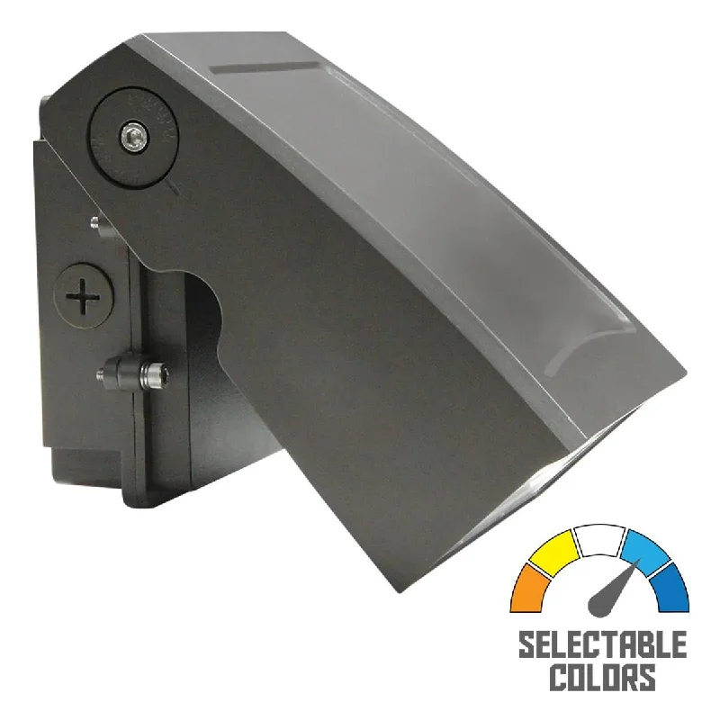 Explosion - Proof Industrial Lighting for Hazardous LocationsLED Cutoff Wall Pack, 40 Watts, 5000 Lumens, 30K/40K/50K, 120-277V, Adjustable Head