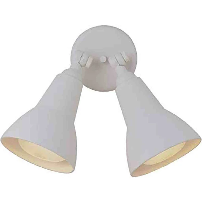 Color - Tunable Industrial Lighting for Special Applications2 Light Directional Bullet in Textured White
