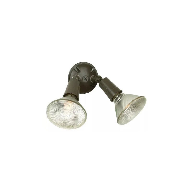 Industrial Lighting for Chemical Plants2 Light PAR Holder in Bronze