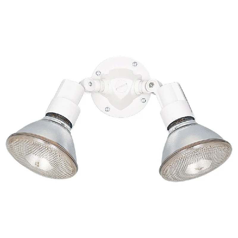 Track lighting for accentuating artworksSignature 8642 Outdoor Flood Light