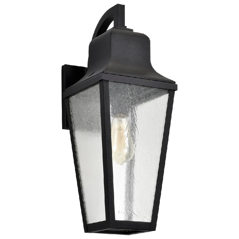 Corrosion - Resistant Industrial Lighting for Coastal FactoriesLAWRENCE 1 LT LG WALL LANTERN