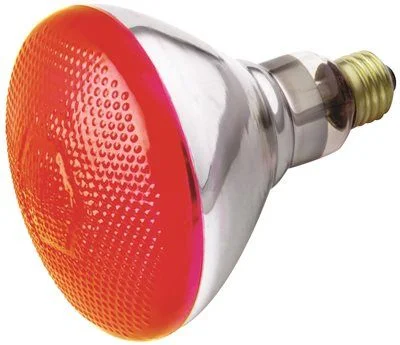 High - lumen track lighting for bright spacesSatco Incandescent Flood Lamp Br38 100 Watts 120 Volts Medium Base Red 6 Per Case High - lumen track lighting for bright spacesSatco Incandescent Flood Lamp Br38 100 Watts 120 Volts Medium Base Red 6 Per Case