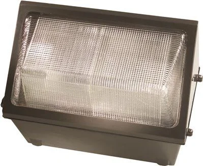 Commercial - grade track lighting for storesHubbell Lighting Led Glass Wall Pack 110 Leds 53 Watts 4000K 4888 Lumen Type Iv Distribution 120-277 Volts