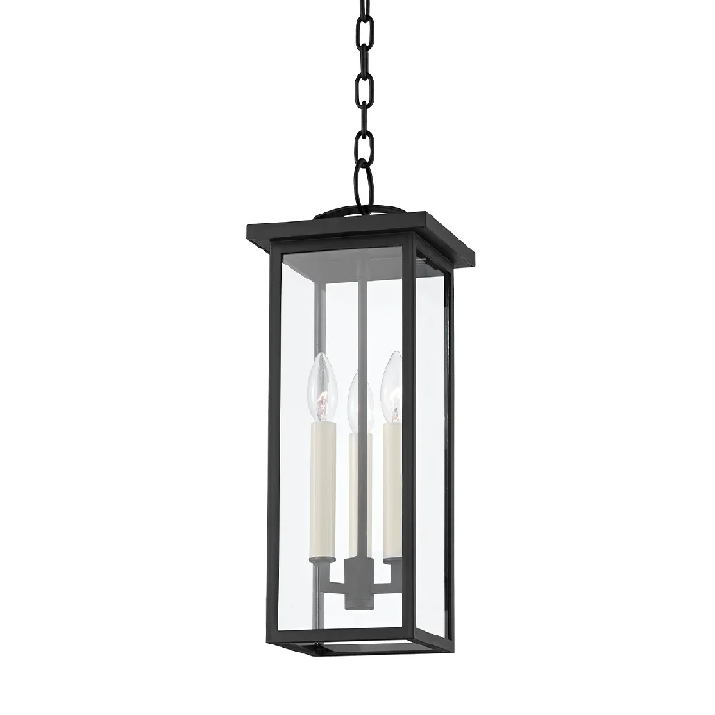 Art Nouveau Ceiling Lights with Organic, Flowing ShapesArt Nouveau Ceiling Lights with Organic, Flowing ShapesEden 3-Light Outdoor Pendant